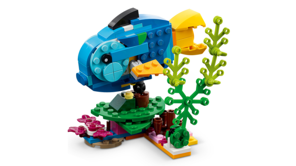 Exotischer Papagei – Bild 9