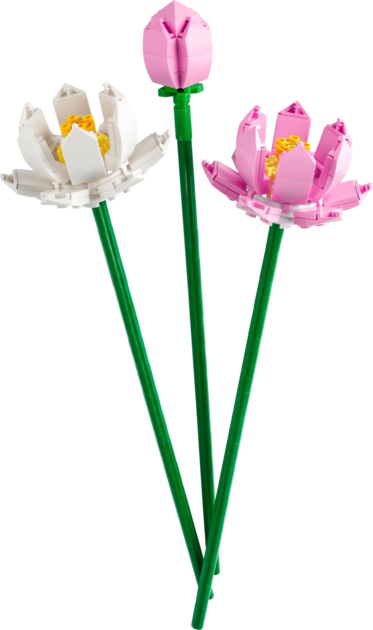 Lotusblumen K Bo Bricks Lotusblumen K Bo Bricks