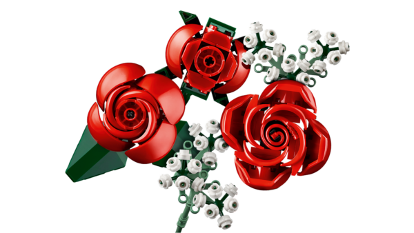 10328_WEB_SEC01_NOBG.png
