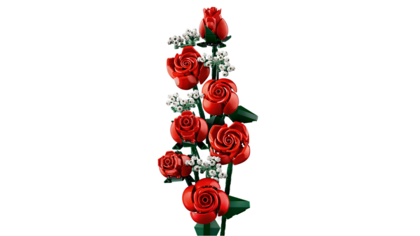 10328_WEB_SEC02_NOBG.png