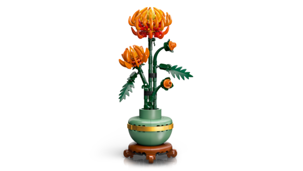 10368_WEB_PRI_NOBG.png