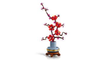 Pflaumenblüte