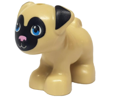 24111pb01 - Dog, Friends, Pug, Standing with Black Muzzled Face and Ears, Bright Pink Nose and Dark Azure Eyes Pattern (Toffee)