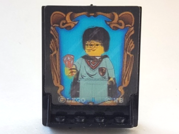 40249px1 - Door 2 x 5 x 5 Swivel, Bracket Base with HP Sorcerer's Stone Reflection Pattern (Sticker) - Set 4702