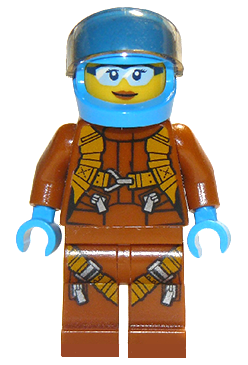 cty0924 - Arctic Plane / Quadcopter Pilot Female