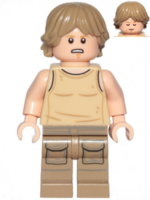 sw1199.png