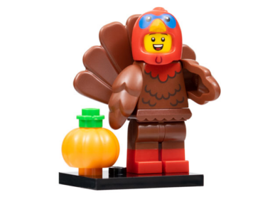 col23-9 - Turkey Costume, Series 23 (Complete Set with Stand and Accessories)