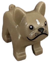 29602pb01 - Dog, French Bulldog with Black Eyes, Nose, Mouth, and Whiskers, White Spot on Forehead Pattern