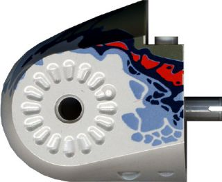 40374pb03 - Dinosaur Body Quarter with Pins with Dark Blue, Dark Gray, Red, and Sand Blue Markings Pattern