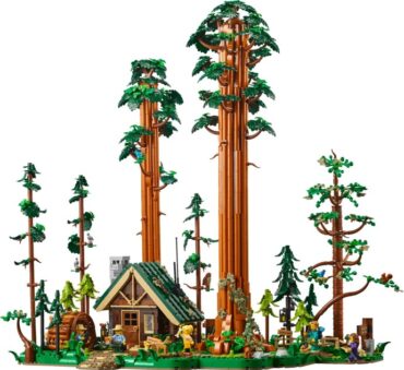 910058-1 - Sequoia Tree Trail