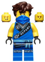 njo0576a.png