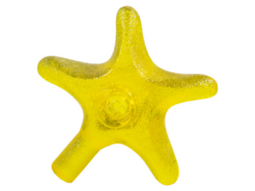 x112 - Starfish / Sea Star