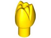 5903 - Plant Flower Tulip with Bar and Small Pin Hole