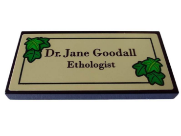 87079pb1140 - Tile 2 x 4 with 'Dr. Jane Goodall Ethologist' in Black Frame with Green Leaves on Tan Background Pattern (Sticker) - Set 40530