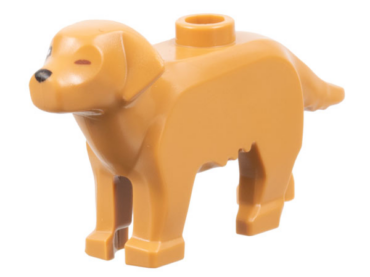 69962pb02 - Dog, Labrador / Golden Retriever with Black Right Eye and Nose, Reddish Brown Closed Left Eye Pattern